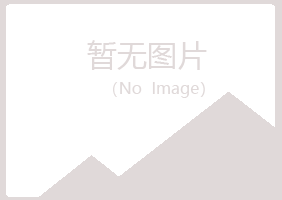 和平区白山采矿有限公司